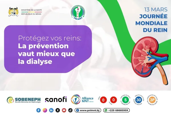 Protégez vos reins : La prévention, clé d’une santé durable