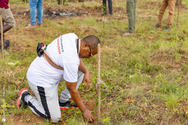 Célébration de la Journée de l’Arbre à Ouidah : Plus de 2500 arbres plantés pour lancer Juin Vermeil 2025