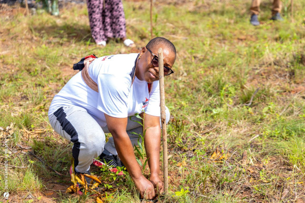 Célébration de la Journée de l’Arbre à Ouidah : Plus de 100 arbres plantés pour lancer Juin Vermeil 2025